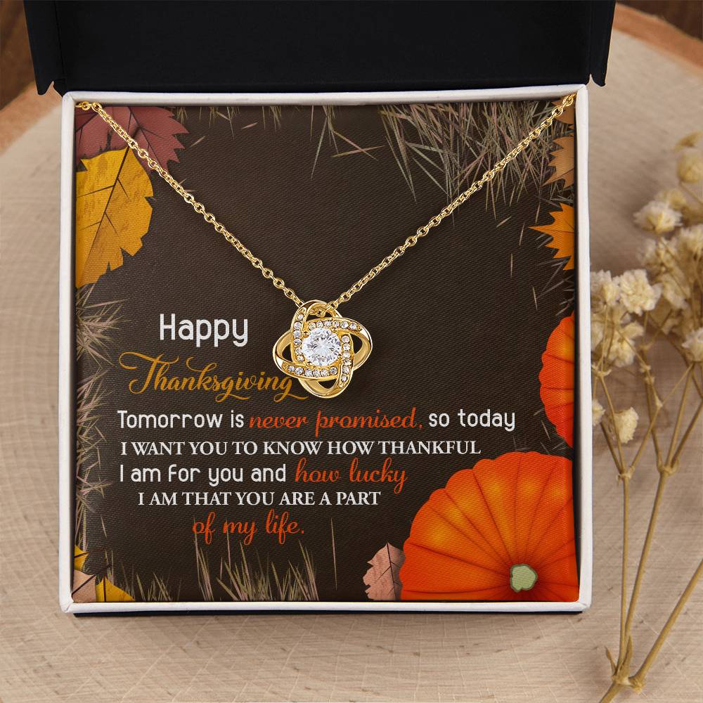Happy Thanksgiving - Thankful For You - How Lucky I Am Part Of Your Life - Love Knot Silver Necklace LN, THK0000005LN