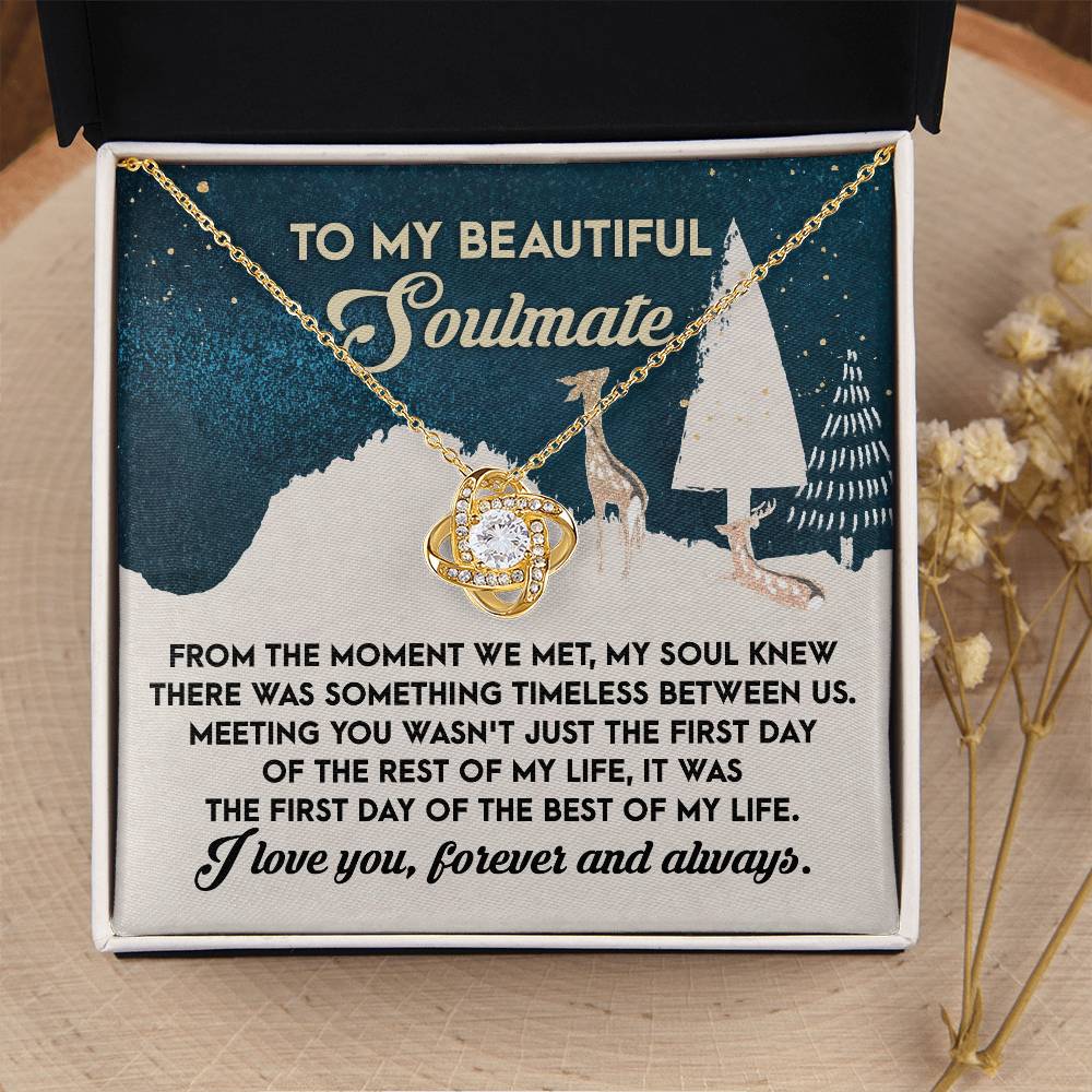 My Beautiful Soulmate - Something Timeless Between Us - First Day Of The Best Of My Life - I Love You - Forever And Always - Love Knot Silver Necklace LN, WIF0000014LN