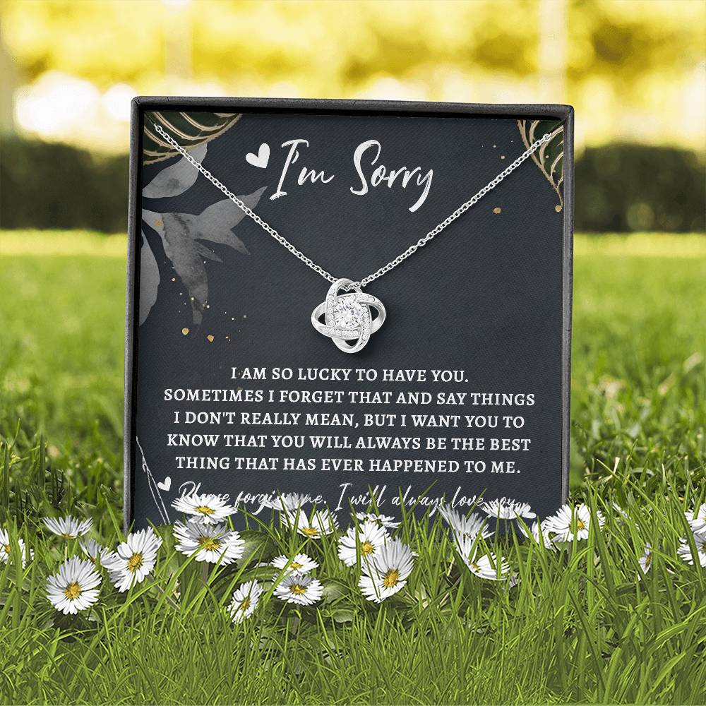 I'm Sorry - Lucky To Have You - You Will Always Be The Best Thing - Please Forgive Me - I Will Always Love You - Love Knot Silver Necklace LN, APZ0000072LN