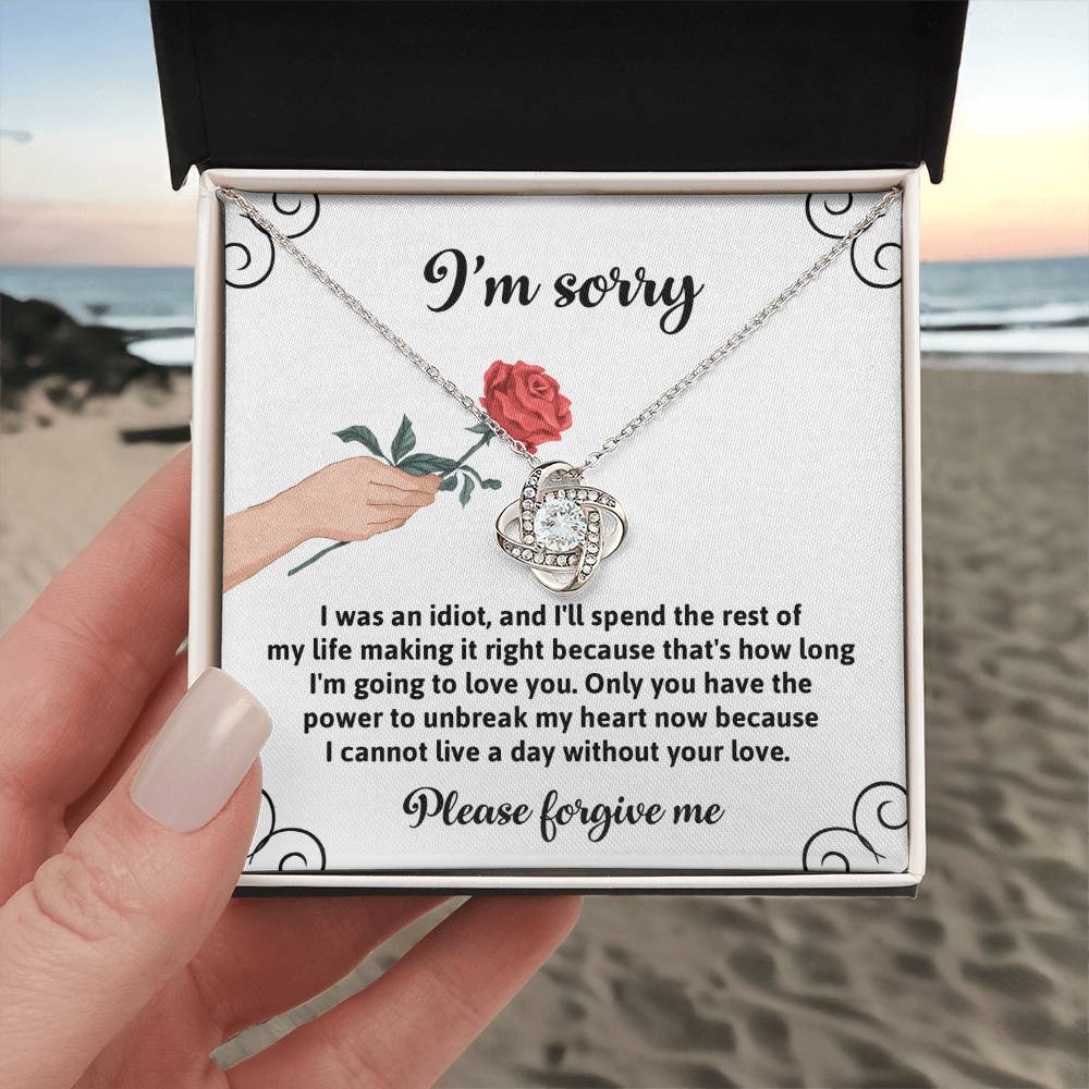 I'm Sorry - I Was An Idiot - Making It Right  - Love Knot Silver Necklace LN, APZ0000016LN