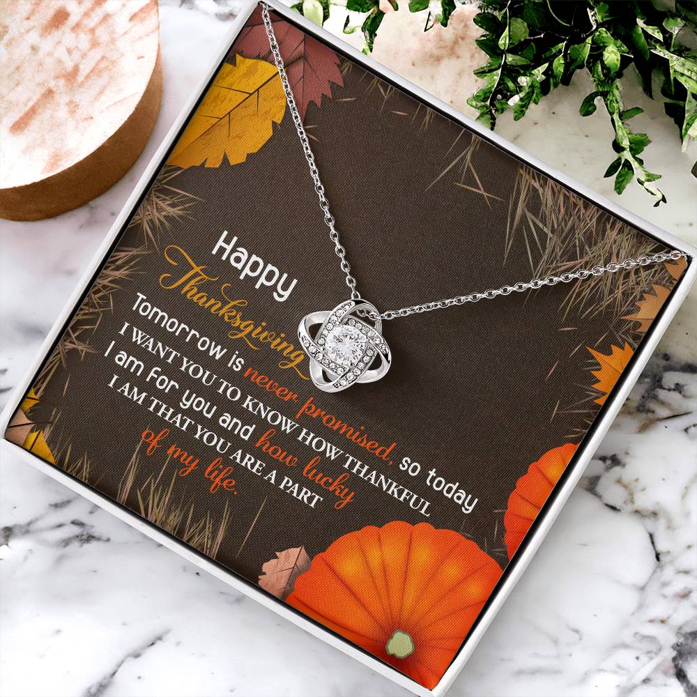 Happy Thanksgiving - Thankful For You - How Lucky I Am Part Of Your Life - Love Knot Silver Necklace LN, THK0000005LN