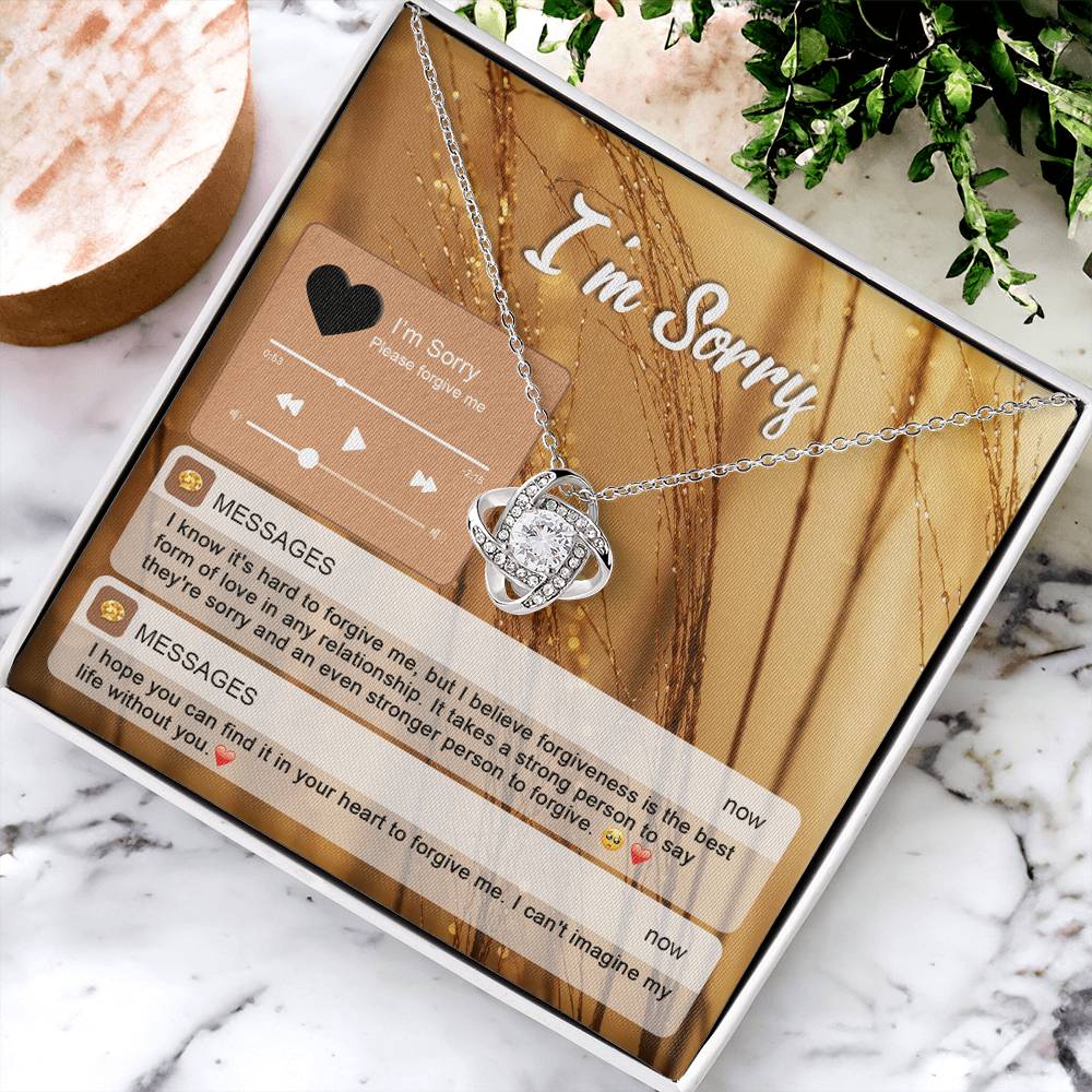 I'm Sorry - Please Forgive Me - Person To Forgive  - Love Knot Silver Necklace LN, APZ0000018LN